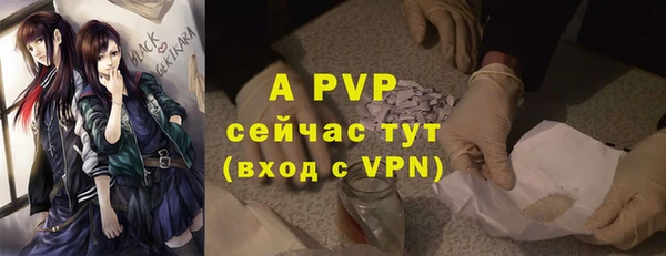 PSILOCYBIN Зерноград