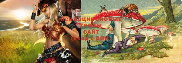 PSILOCYBIN Зерноград